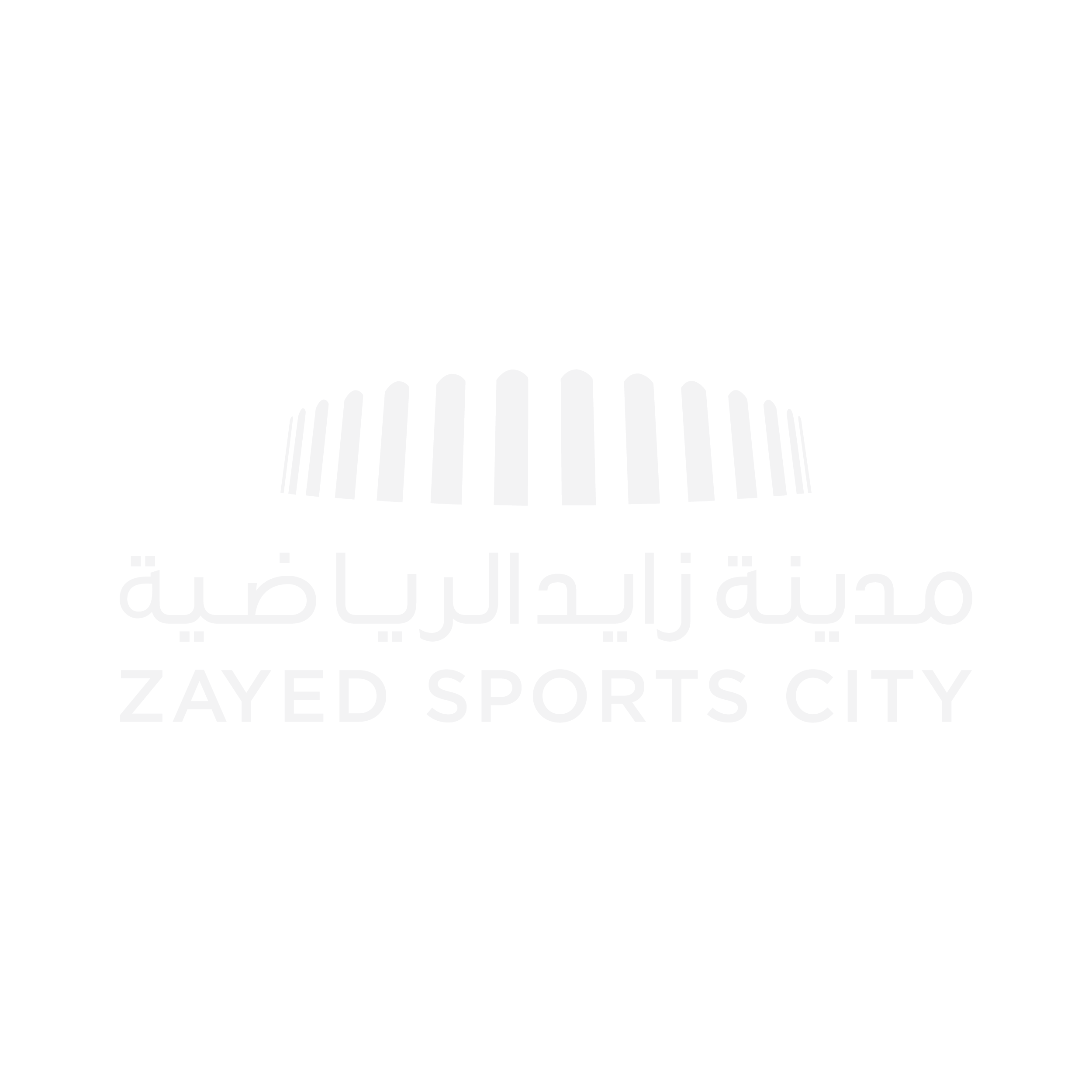 Zayed Sports City